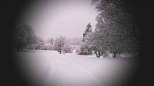 Arboretum.Snow.jpg