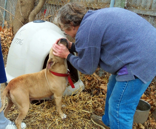 kathe with post dogs (1).jpg