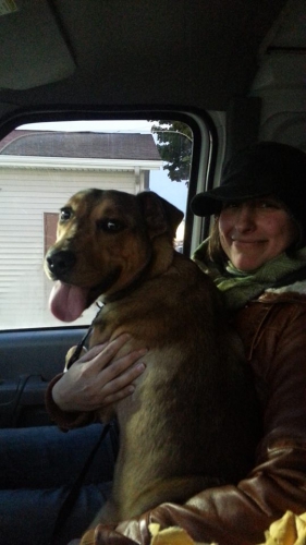 sophia transporting dog.jpg