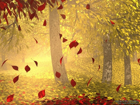 autumn leaves.jpg