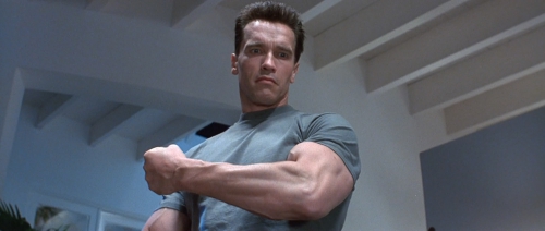 arnold-schwarzenegger-terminator-2-body-compared-to-genesis.jpg